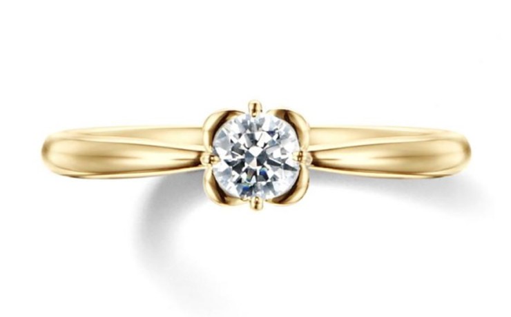 フィーカの婚約指輪　白い花～約束のブーケ